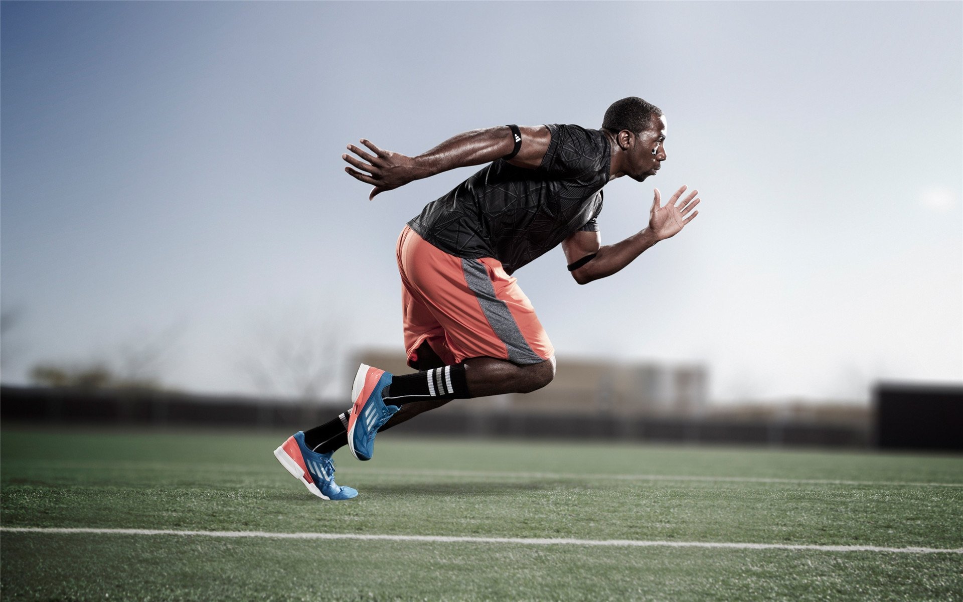 _篮网队实力出众，继续领跑联盟_，你知道篮网队吗